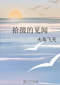 拾掇的見聞